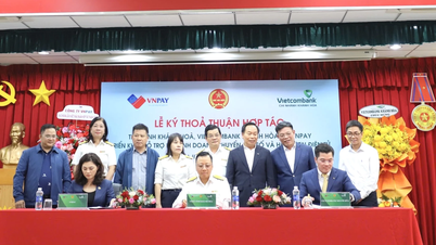 Cooperate in implementing support for business households in digital transformation and electronic invoices