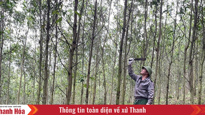 Нгок Трао продвигает потенциал и преимущества для устойчивого социально-экономического развития