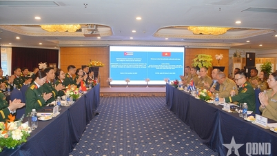 젊은 베트남과 쿠바 장교들은 두 민족 간의 연대와 애착의 전통을 이어가고 있습니다.