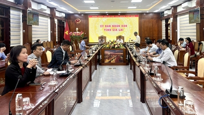 Кооперативний економічний форум 2025: онлайн-конференція для обговорення рішень для розвитку