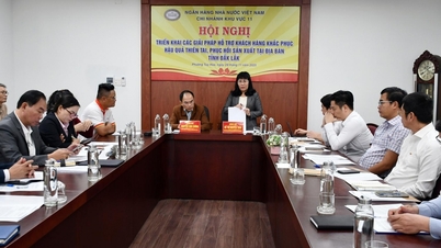 بینکنگ انڈسٹری قدرتی آفات کے نتائج پر قابو پانے میں صارفین کی مدد کرنے کے حل پر تبادلہ خیال کرتی ہے۔