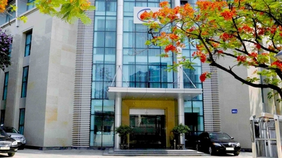 أكبر شركة لتعدين الذهب في فيتنام تواجه خطر الخروج من البورصة