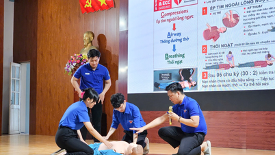 הכשרה במיומנויות הצלה, עזרה ראשונה לחברי איגוד, נוער וסטודנטים