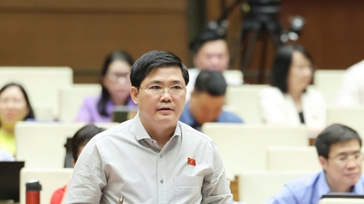 Hoofd van de delegatie van de Nationale Assemblee van de stad Can Tho, Nguyen Tuan Anh: Toewijzing van kapitaal op basis van resultaten om momentum te creëren voor dynamische groeipolen