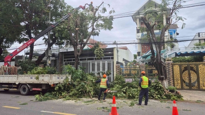 O distrito de Cam Ranh responde proativamente à tempestade nº 15.