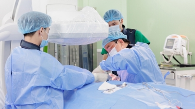 Vita az orvosi és jogi képzésről: Szigorítani kell a minőségi előírásokon, ne engedjük, hogy a "vakok elefánthoz érjenek"