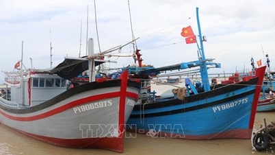 Ponad 360 łodzi zostało skierowanych na bezpieczne kotwicowisko.