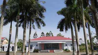 A Ca Mau kihasználja a használaton kívüli központot iskolák bővítésére és korszerűsítésére