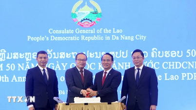 Célébration du 50e anniversaire de la fête nationale de la République démocratique populaire lao à Da Nang