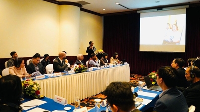 Onderwijs in intellectueel eigendom en innovatie voor de jonge generatie in Vietnam en de ASEAN-regio