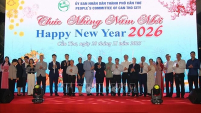 Can Tho streeft ernaar gunstige omstandigheden te creëren voor buitenlanders om te wonen, studeren en werken.