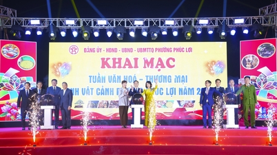 Відкриття Тижня культурно-комерційно-декоративних рослин округу Фук Лой у 2025 році