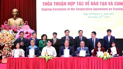 Phát triển nguồn nhân lực chất lượng cao và Ngày hội việc làm năm 2025 tỉnh Phú Thọ