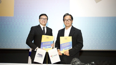 រួមកម្លាំងជំរុញការអភិវឌ្ឍន៍ Pickleball នៅវៀតណាម