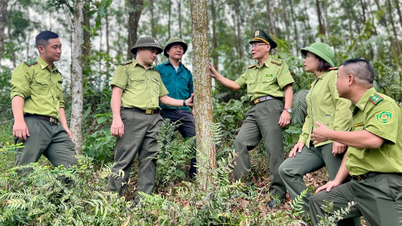 ເພື່ອຮັກສາປ່າໄມ້ໃຫ້ຂຽວຕະຫຼອດໄປ