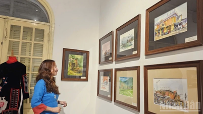 Відкриття виставки «Традиційна культурна ідентичність А Луой» у місті Хюе