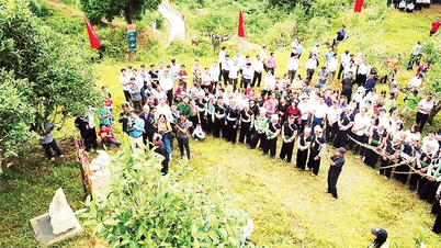 Унікальна церемонія вшанування чайного дерева предків Суой Джанг