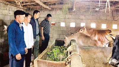 Most mezi stranou, vládou a lidem