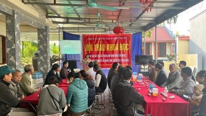 Model budidaya belut komersial menggunakan pakan suplemen herbal