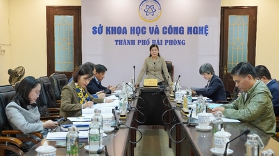 Solusi untuk menarik investasi asing langsung (FDI) ke kota Hai Phong dalam konteks baru