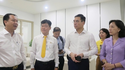 El Ministerio de Salud evalúa la capacidad médica para atender la APEC 2027 en Phu Quoc