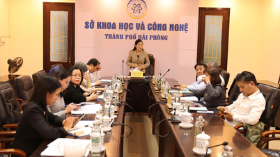 Situasi terkini dan solusi untuk mendorong inovasi di perusahaan-perusahaan di kota Hai Phong