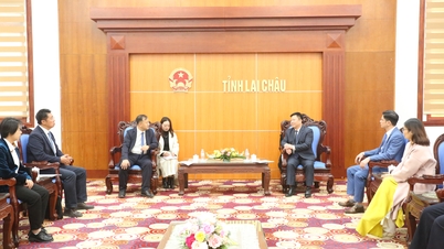 Lai Chau: Visita de cortesia à Delegação de Trabalho do Departamento de Cultura e Turismo do distrito de Hong Ha e do Governo de Kim...