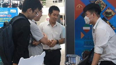 Дананг стремится стать инновационным центром Центрального нагорья