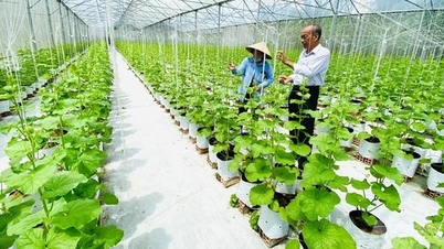 كان ثو يعزز الابتكار نحو هدف صافي الصفر