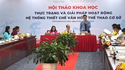 חיזוק הפעילות המוסדית התרבותית בתחום הספורט