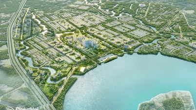 توسعه منطقه Long Thanh - Nhon Trach