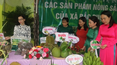 Nhiều mô hình sản xuất, kinh doanh ở nông thôn mới