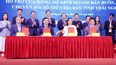 MISA cooperates with Thai Nguyen province to promote digital transformation for business households