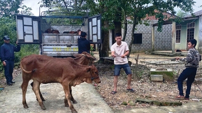 Zróżnicowanie modeli źródeł utrzymania w celu pomocy ubogim gospodarstwom domowym