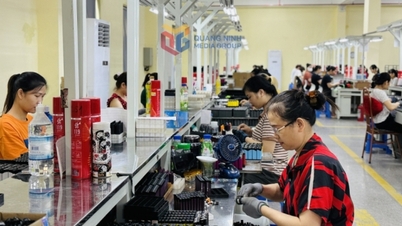 ពង្រឹង និង​អភិវឌ្ឍ​អង្គការ​សហជីព​ឲ្យ​រឹងមាំ