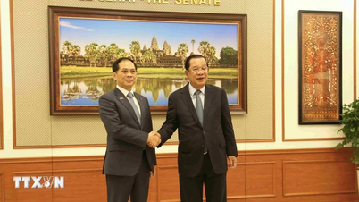 Укрепление добрососедских отношений между Вьетнамом и Камбоджей