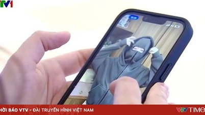 Eindejaarsaankopen: wees op uw hoede voor online oplichting