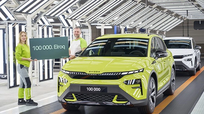 سيصبح إلروق "الدجاجة الذهبية" لشركة سكودا للسيارات