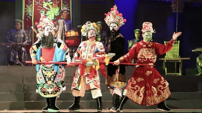 Giao lưu nghệ thuật truyền thống Việt Nam - New Zealand