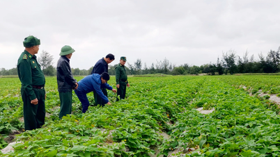 ¡La arena blanca se mueve!