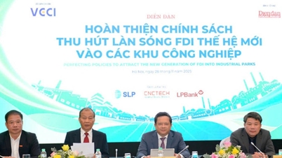 Yeni nesil doğrudan yabancı yatırımı sanayi bölgelerine çekme politikası