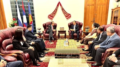 Việt Nam - Lào cùng tiến bước vào giai đoạn phát triển mới