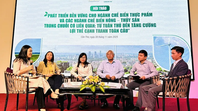 Grønn transformasjon for bærekraftig utvikling av landbruks- og akvatiske produktforedlingsindustrien i Mekongdeltaet