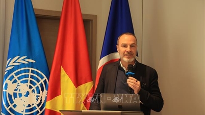 Puente de 'finanzas verdes' entre localidades vietnamitas y organizaciones internacionales