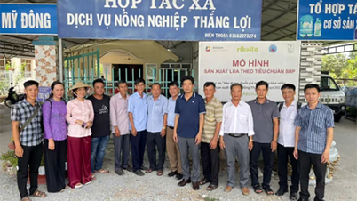 Повышение экономической эффективности производства и деятельности сельскохозяйственных кооперативов