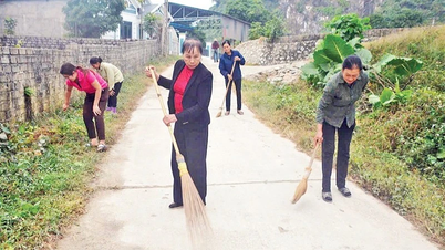 Έπαινος εξαιρετικών γραμματέων κομματικών πυρήνων το 2026