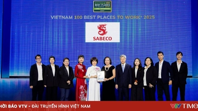 Phát triển nhân lực chất lượng cao - Hướng đi bền vững của doanh nghiệp Việt