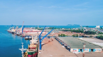 Η Nghe An είναι αποφασισμένη να ξεπεράσει τις δυσκολίες, να αποδεσμεύσει τη ροή εξαγωγών, με στόχο τον στόχο των 4,5 δισεκατομμυρίων δολαρίων ΗΠΑ.