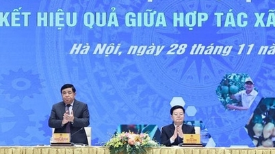 Kolektif ekonominin, kooperatifler ve işletmeler arasındaki etkili işbirliğinden kaynaklanan bir atılıma ihtiyacı vardır.