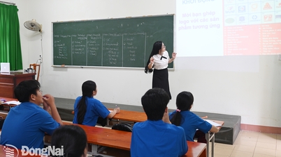 Doğu Koleji: Muhasebe ve bilgi teknolojisi alanında eğitim kalitesinin artırılması